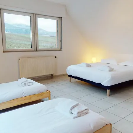 Hotel Vineyard House 4*