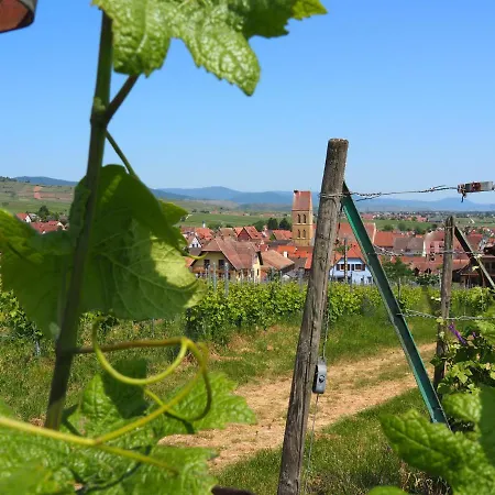 Vineyard House