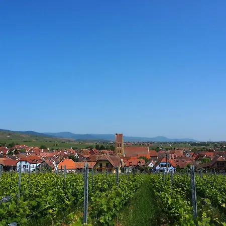 Vineyard House Hotel Eguisheim